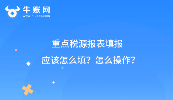 重点税源报表填报应该怎么填?怎么操作?