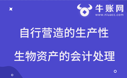 自行营造的生产性生物资产的会计处理