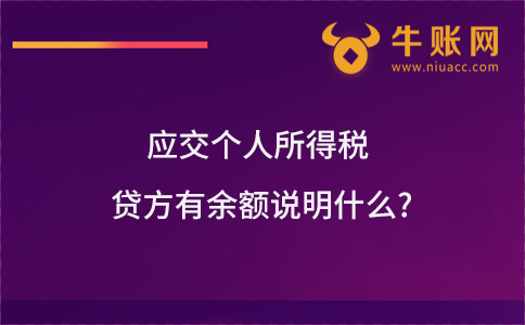 应交个人所得税贷方有余额说明什么?