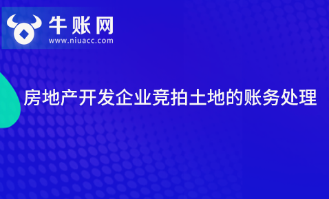 房地产开发企业竞拍土地的账务处理
