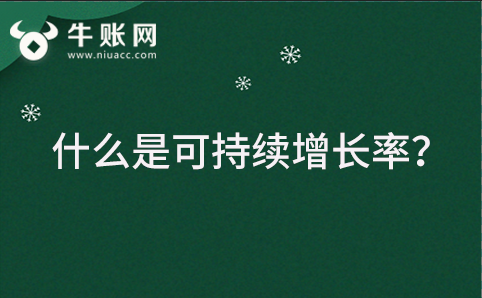 什么是可持续增长率？
