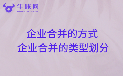 企业合并的方式以及企业合并的类型划分