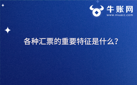 各种汇票的重要特征是什么？