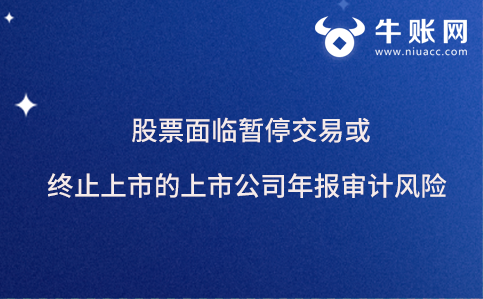 股票面临暂停交易或终止上市的上市公司年报审计风险