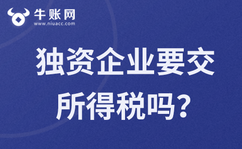 个人独资企业需要缴纳企业所得税吗？