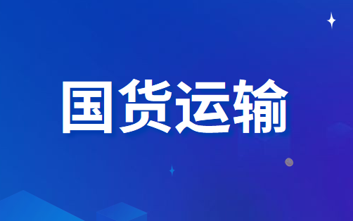 国际货运能力实施资金支持政策