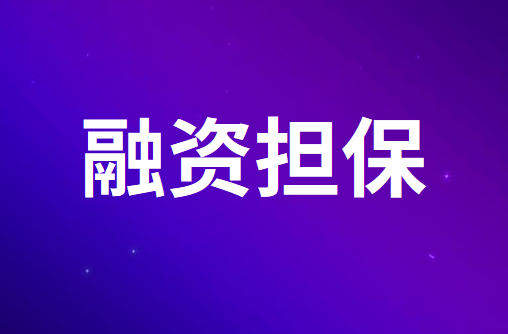政府性融资担保、再担保机构绩效评价指引