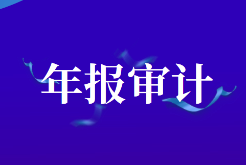 上市公司2019年年报审计情况快报（第九期）