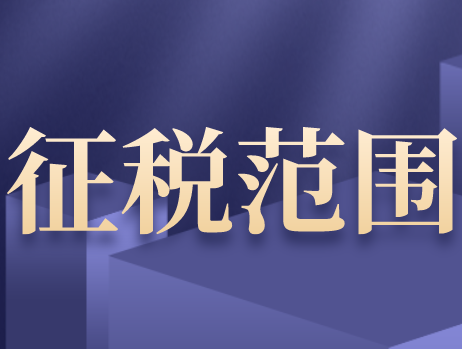 不属于增值税征税范围的其他项目