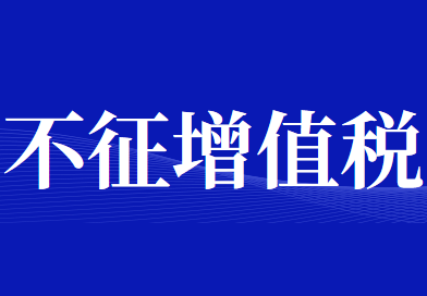 不征收增值税的特殊规定有哪些？