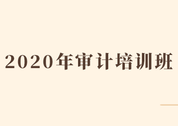 2020年从事证券服务业务会计师事务所审计培训班