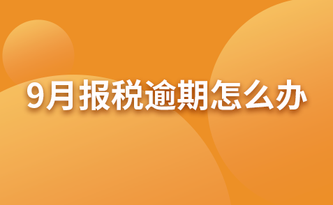 9月报税逾期怎么办 15号过了没报税怎么办