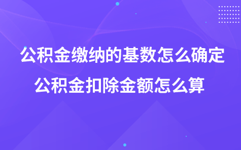 公积金缴纳的基数怎么确定-公积金扣除金额怎么算
