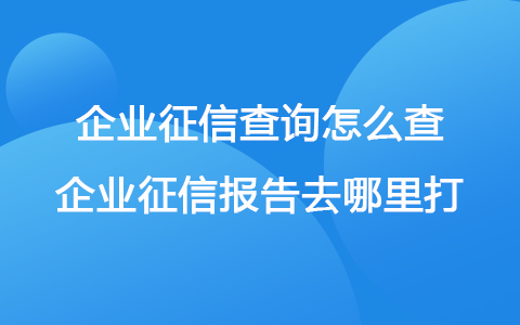 企业征信查询怎么查 企业征信报告去哪里打