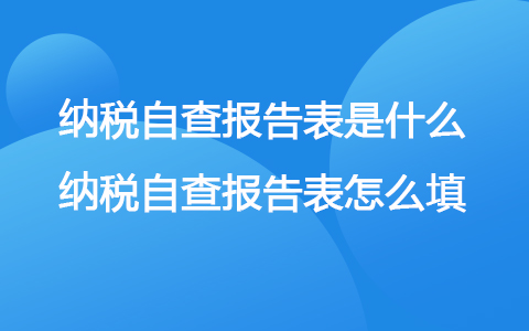 纳税自查报告表是什么 纳税自查报告表怎么填