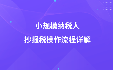 小规模纳税人抄报税操作流程详解