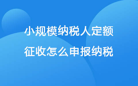 小规模纳税人定额征收怎么申报纳税
