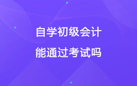 自学初级会计能通过考试吗