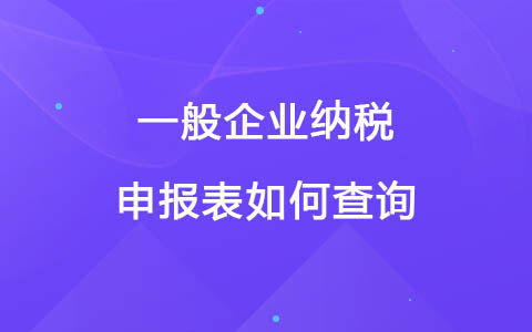 一般企业纳税申报表如何查询