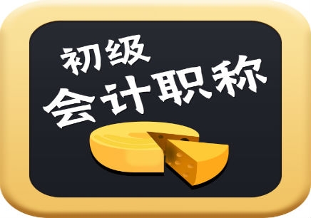 初级会计职称考试练习