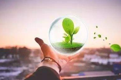 上一年度没计提所得税费用如何处理?
