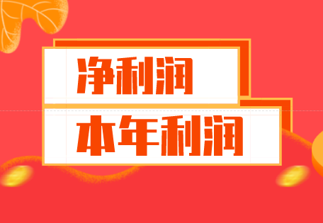 账套里的本年利润是净利润吗？本年利润与净利润的区别是什么？