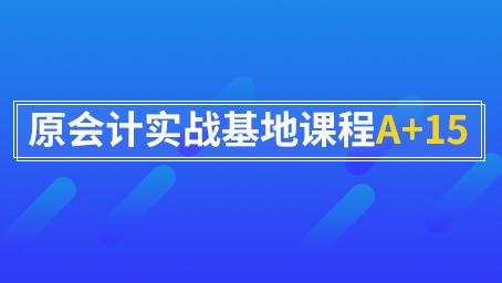 原会计实战基地课程A+15