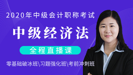 2020年中级经济法习题强化班第十三讲