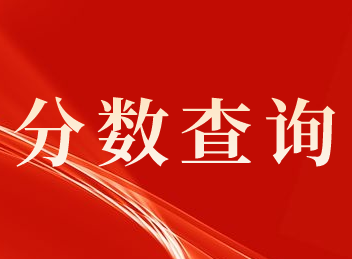 2020年福建中级会计职称考试成绩是什么时候查询？