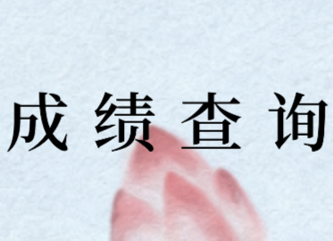 2020年税务师考试成绩查询入口可以进啦！