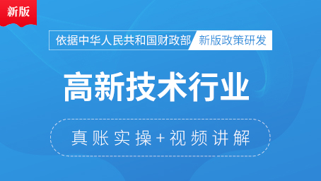 高新技术行业真账实操