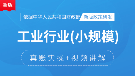 小规模工业行业真账实操