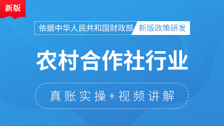 农村合作社行业会计真账实操