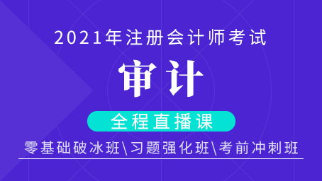 2021年注会审计习题强化班第十讲