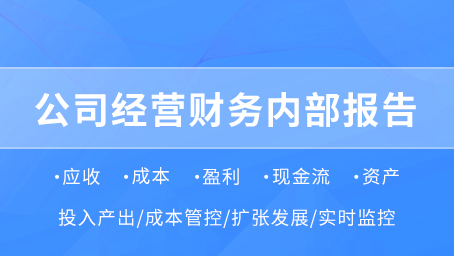 公司经营财务内部报告