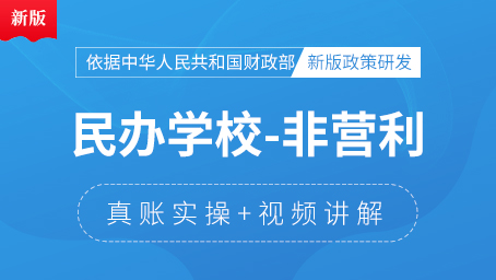 民办学校（非营利性）会计真账实操