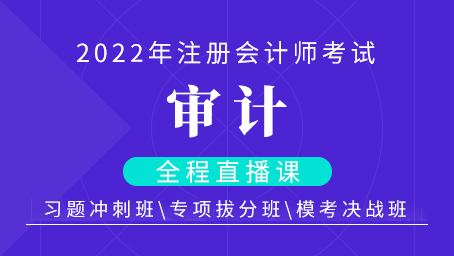 2022年注会审计专项拔分班第一讲