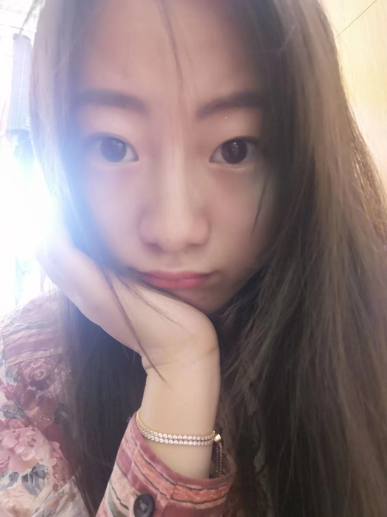 小树懒