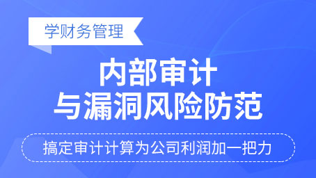 内部审计与漏洞风险防范