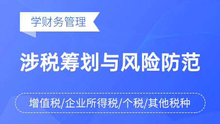 涉税筹划与风险防范