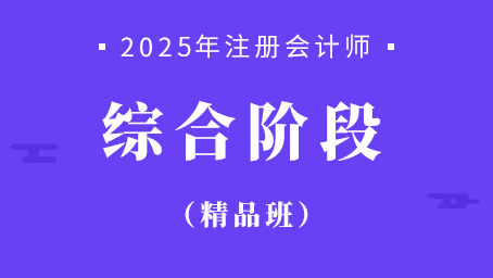 2025年注册会计师综合阶段精品班