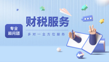 专业财税服务顾问