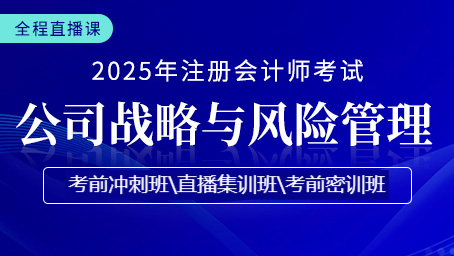 2025年注册会计师直播课-战略