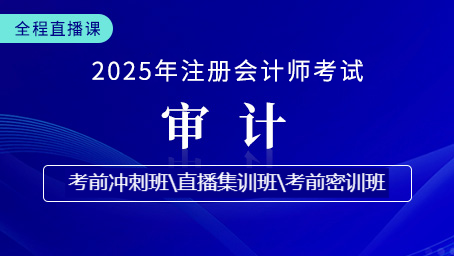 2025年注会审计考前冲刺第二讲