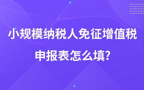 小规模纳税人免征增值税申报表怎么填?