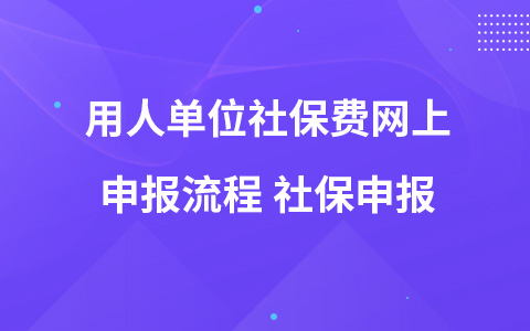 用人单位社保费网上申报流程 社保申报