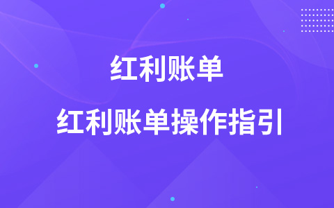 红利账单 红利账单操作指引