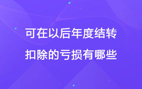 可在以后年度结转扣除的亏损有哪些