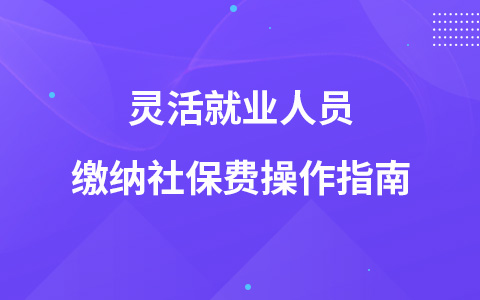 灵活就业人员缴纳社保费操作指南