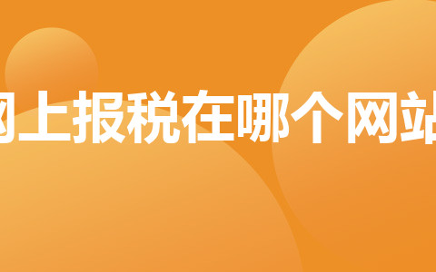 网上报税在哪个网站？